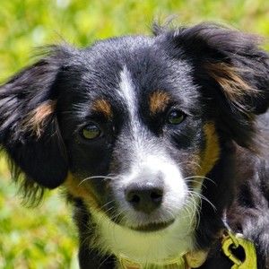 Meet your Posher, Tim